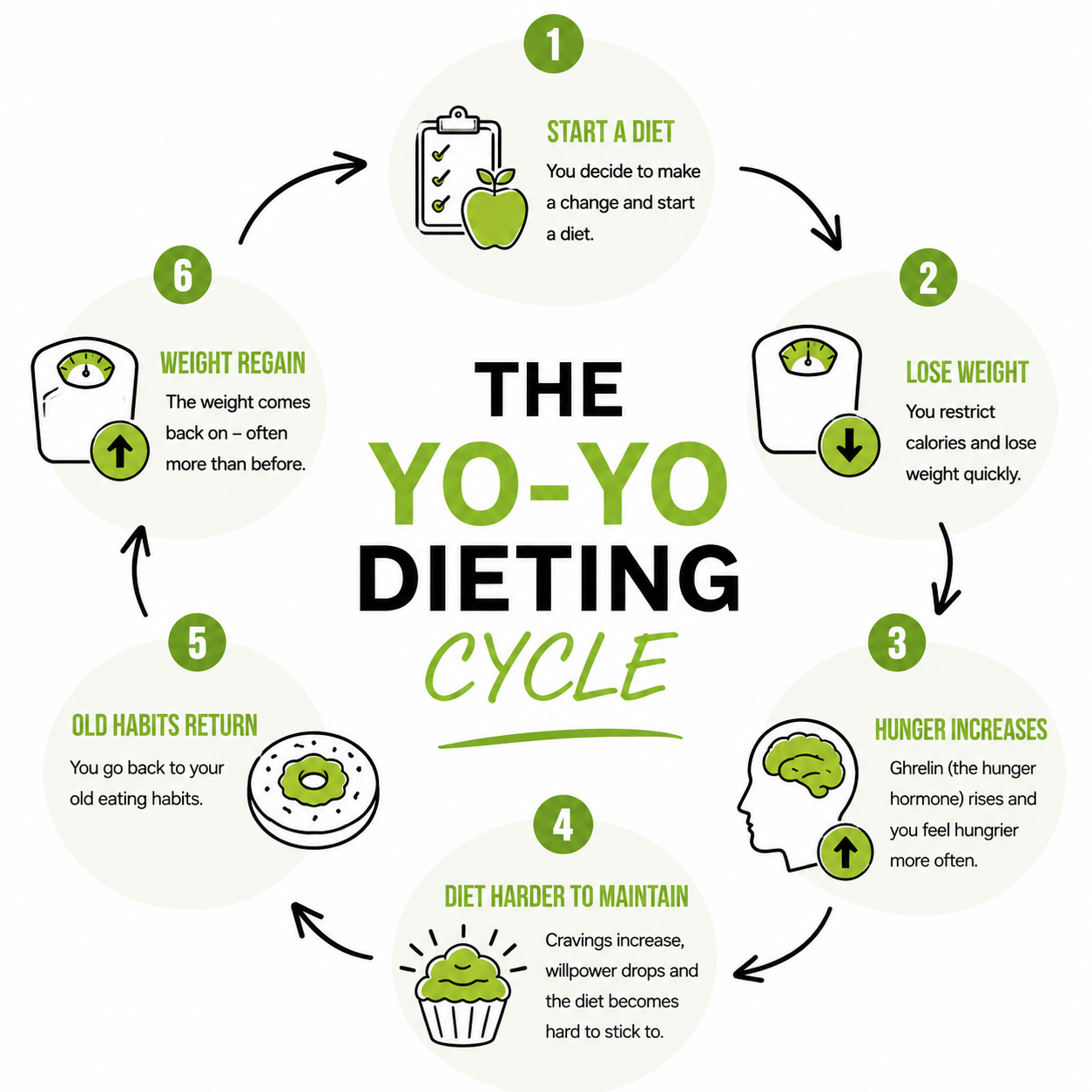 Diagram showing the yo-yo dieting cycle and how ghrelin increases hunger after crash dieting.